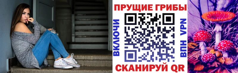 Псилоцибиновые грибы мухоморы  Новокузнецк 